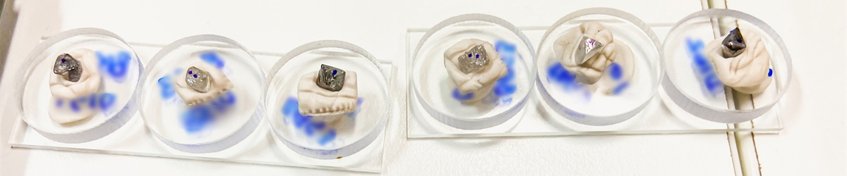 Critical Technology Is Now Available for New Global Diamond Certification