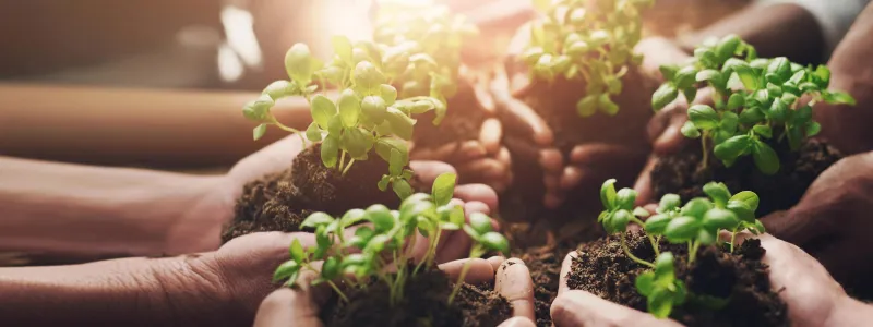 Sustainability Investments