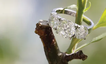 Fenix Diamonds ups the ante on LGD sustainability