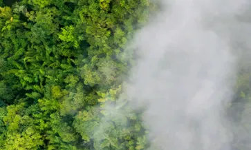 Gem Lab IGI Pledges to Become Carbon-Neutral