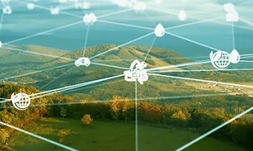 IGI commits to carbon neutrality