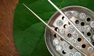 WD Lab Grown Diamonds Names JC Jewels an Authorized Distribution Partner for Australia and New Zealand